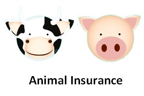Animal Insurance — Українська Аграрно-Страхова Компанія